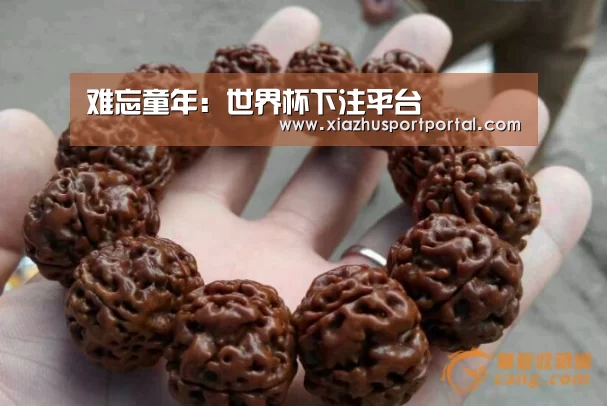 难忘童年:世界杯下注平台(图1) 世界杯下注官网