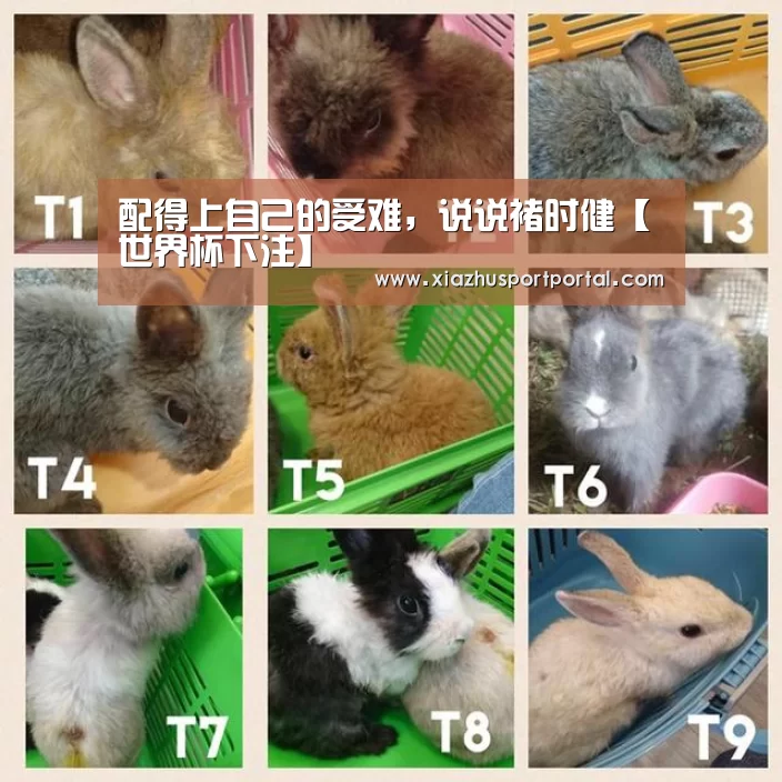 配得上自己的受难,说说褚时健【世界杯下注】(图2) 世界杯投注网