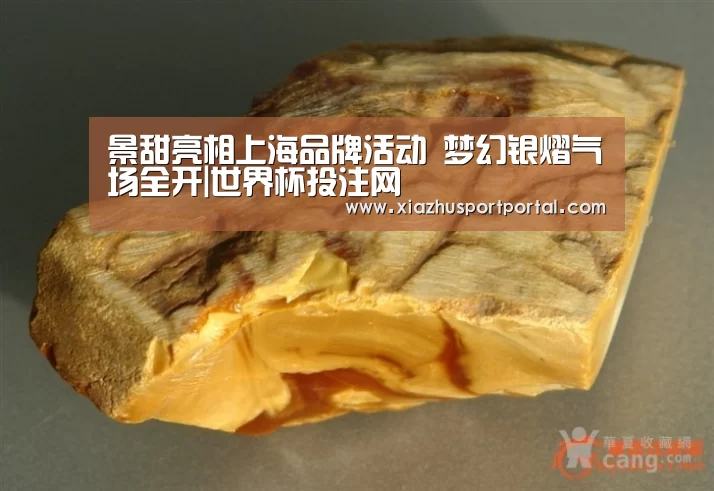 景甜亮相上海品牌活动 梦幻银熠气场全开|世界杯投注网(图2) 世界杯投注网