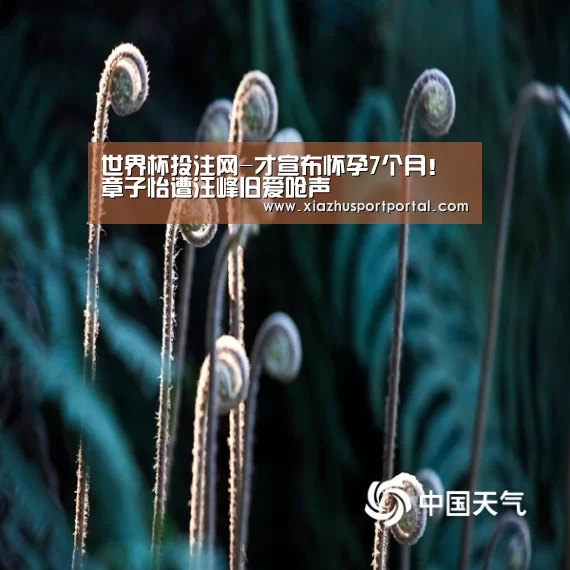 世界杯投注网-才宣布怀孕7个月!章子怡遭汪峰旧爱呛声(图1) 世界杯下注