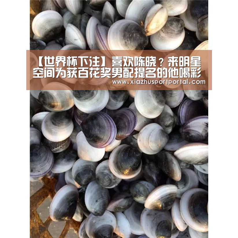 【世界杯下注】喜欢陈晓?来明星空间为获百花奖男配提名的他喝彩吧(图1) 世界杯下注官网